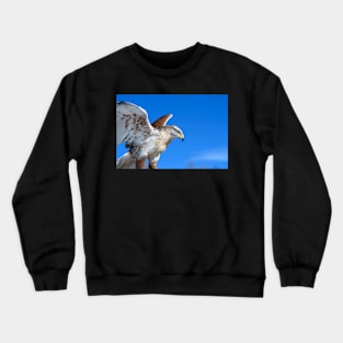 Freedom Dreams Crewneck Sweatshirt